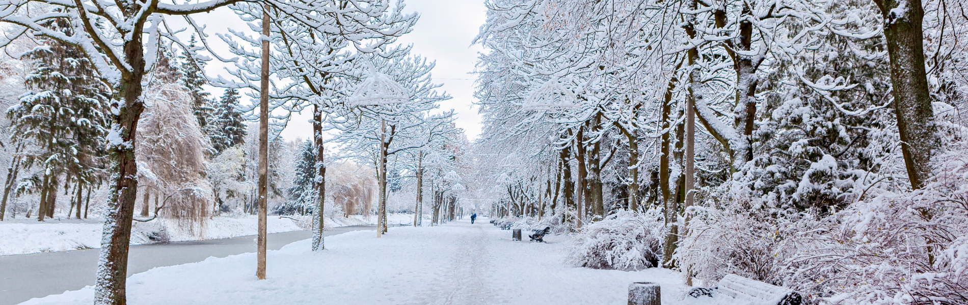 日本の四季 秋の紅葉のような穏やかな相続を